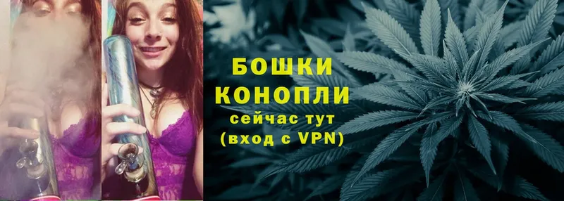 Шишки марихуана Ganja  где найти   Ногинск 